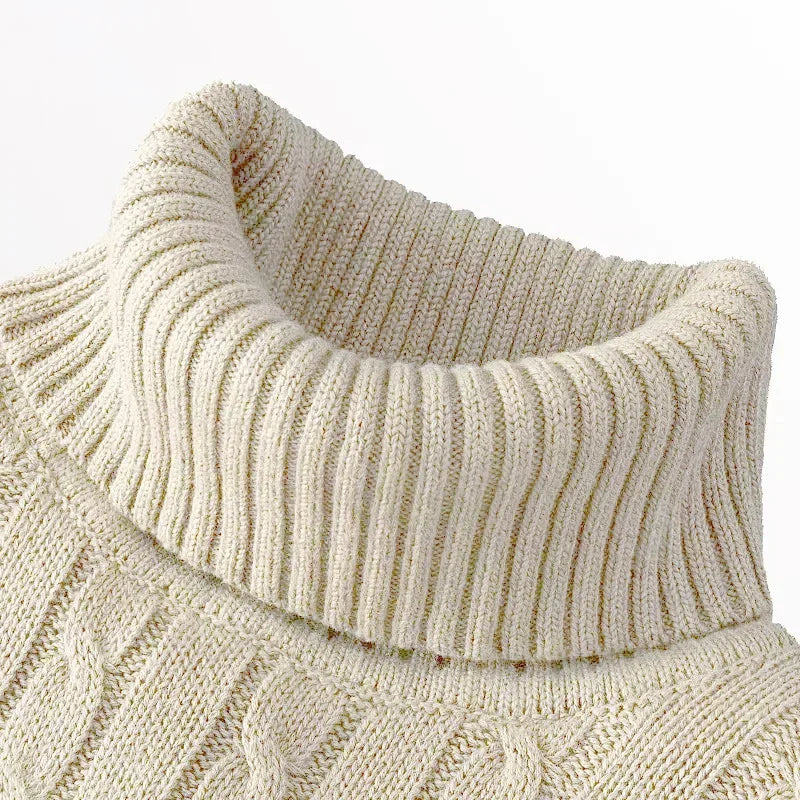The Essential Knit Turtleneck