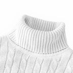 The Essential Knit Turtleneck